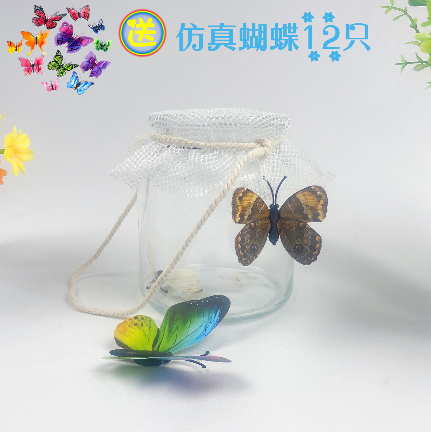 儿童玻璃瓶蝴蝶观察透明昆虫蚕宝宝宠物蟋蟀蜻蜓科学实验