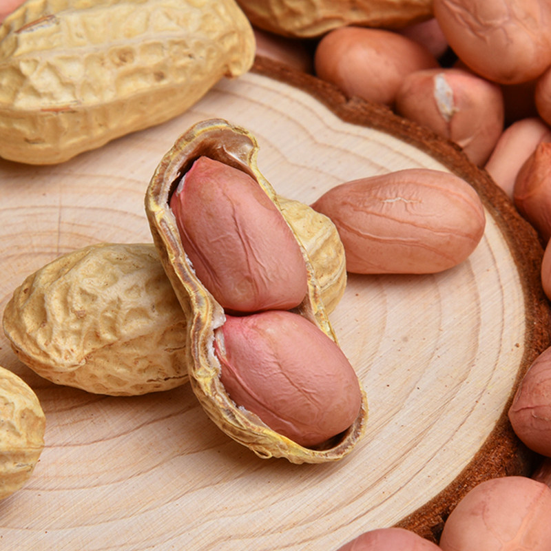 花生带壳新鲜5斤晒干种子高产原味薄壳粉红花生