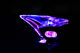 Car electric car boost motorcycle modification accessories color decoration lamp energy-saving wind lamp wind blown light Car electric car boost motorcycle modification accessories color decoration lamp energy-saving wind lamp wind blown light
