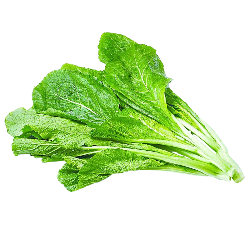 春菜种子四季易种小白菜芥菜青菜种籽速生耐寒家庭园艺种子
