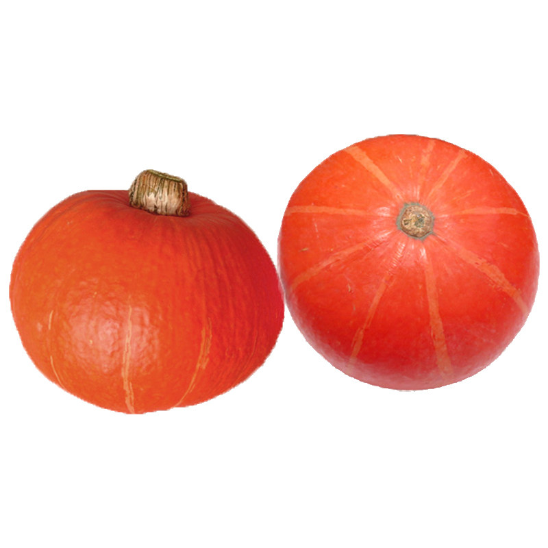 红栗南瓜种子迷你板栗高产红皮香甜贝贝小南瓜家庭园艺种子