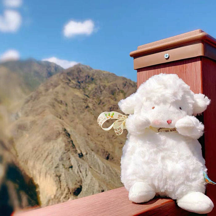 bunniesbythebay抖音小羊正版bussiesbythebay毛绒玩具小坐毛绒布艺类