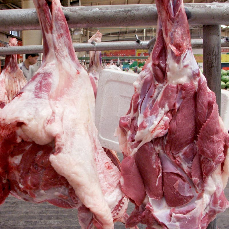 羊肉新疆新鲜羔羊前腿5斤阿勒泰大尾绵羊优质生羊肉