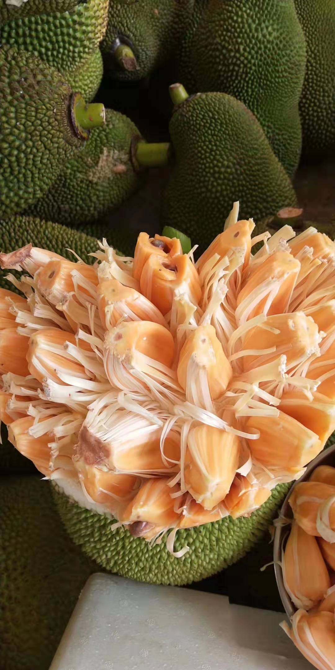 海南南红肉红红心菠萝蜜1028斤整个新鲜水果包邮现菠萝蜜