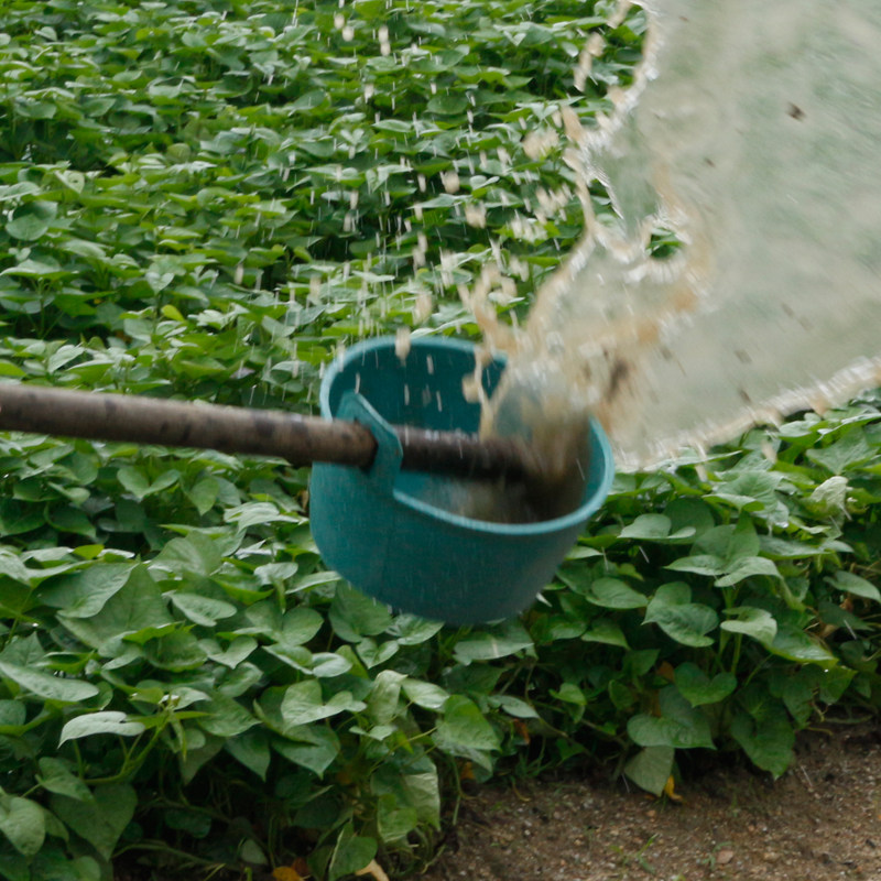 水瓢农用勺瓜大粪水舀浇水泼水粪瓢浇花施肥洗发杯