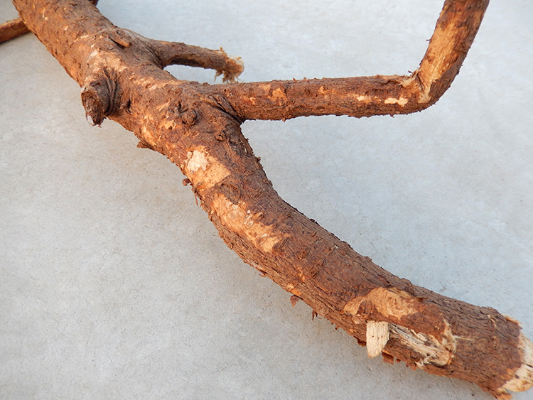 树根槐树野生槐根中药材国槐树皮老槐带皮洋槐其他药食同源食品