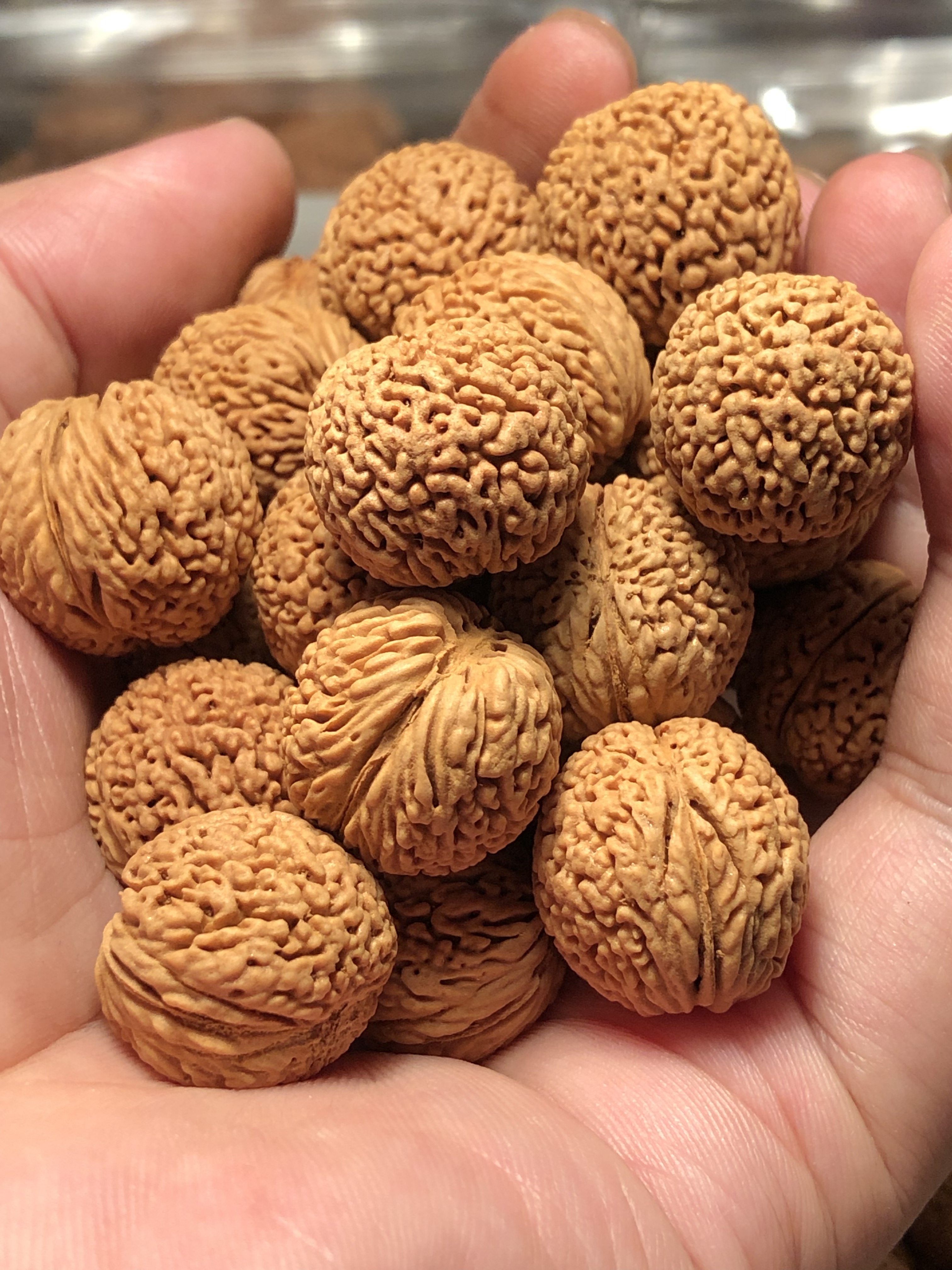 野生山桃核龙鳞凤尾脐矮桩金刚蚂蚁精选散籽免费佛珠