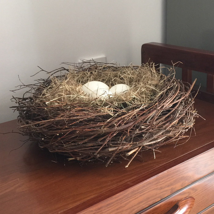 鸟巢巢窝喜鹊树枝编织手工铁丝捆绑装饰家居摆件摆件