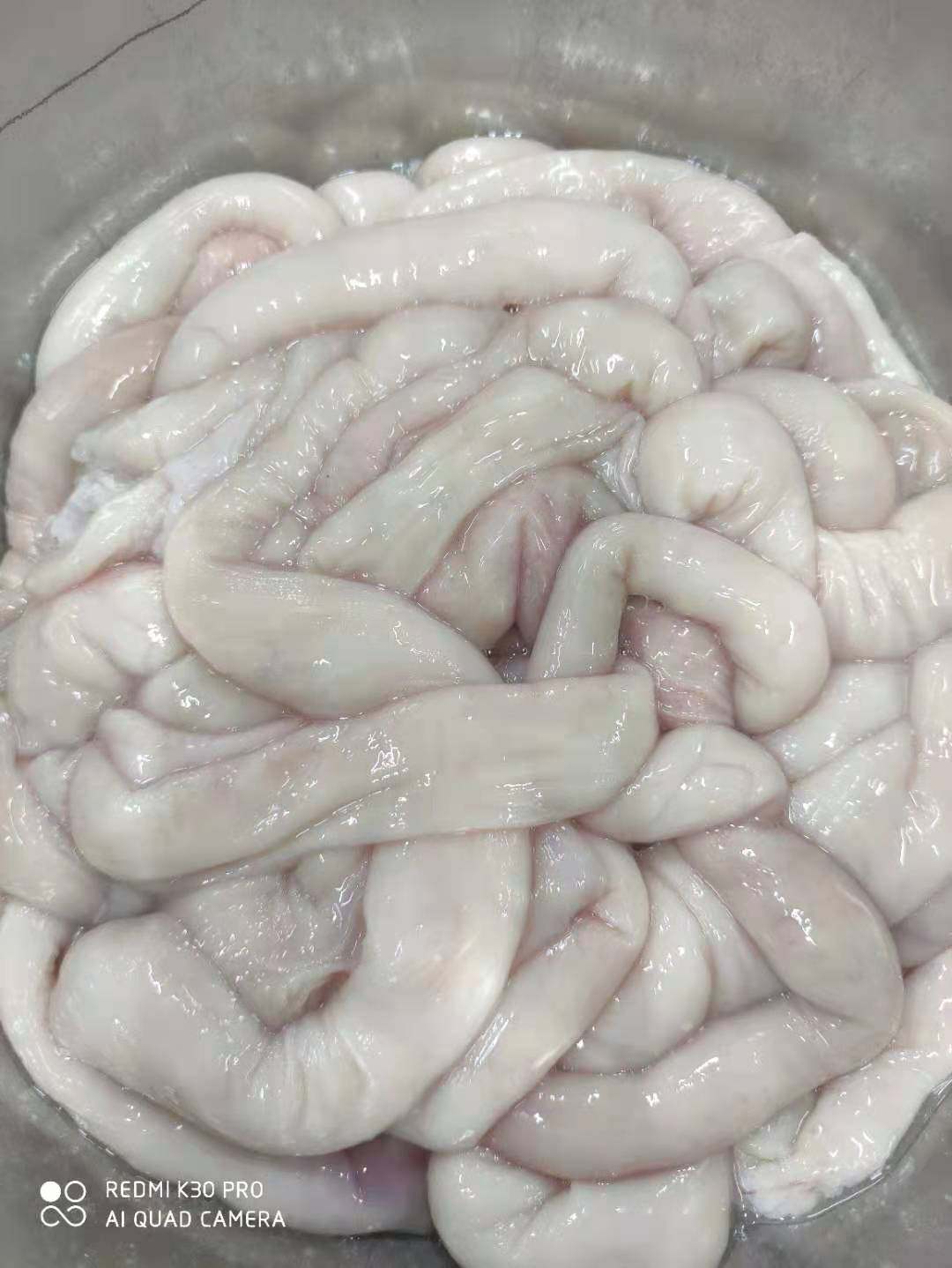 20斤清真国产新鲜羊肥肠羊大肠冷冻商用羊杂生羊肉