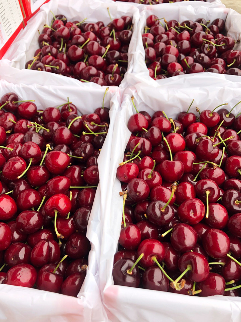 澳洲进口车厘子4斤当季新鲜特大樱桃孕妇时令水果整箱包邮34mm