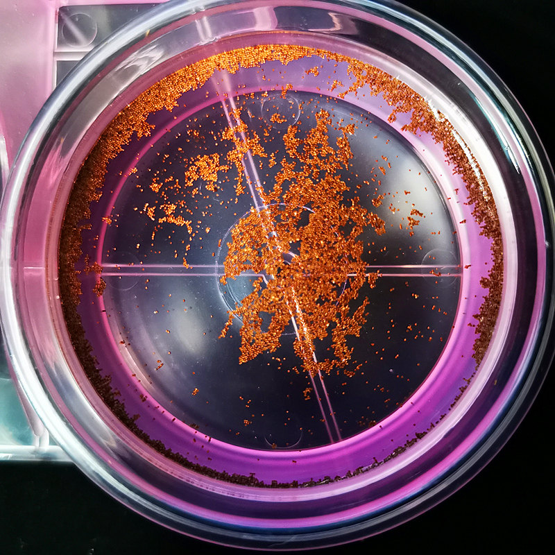 孵化丰年虾卵大红水母小型食物活体饲料幼鱼观赏鱼饲料