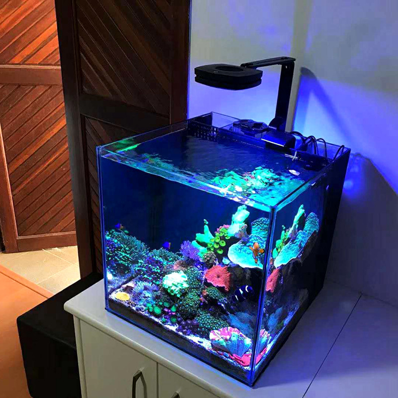 landen蓝甸珊瑚缸版背滤水族箱桌面海背滤缸海水专业鱼缸