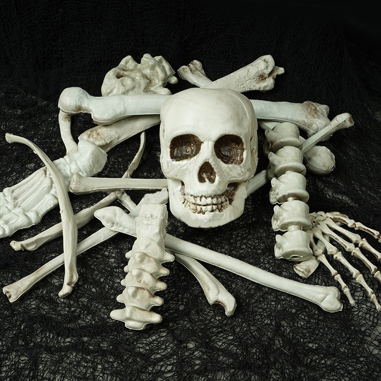 骷髅万圣节鬼屋密室逃脱仿真骨架摆件头骨模型其它