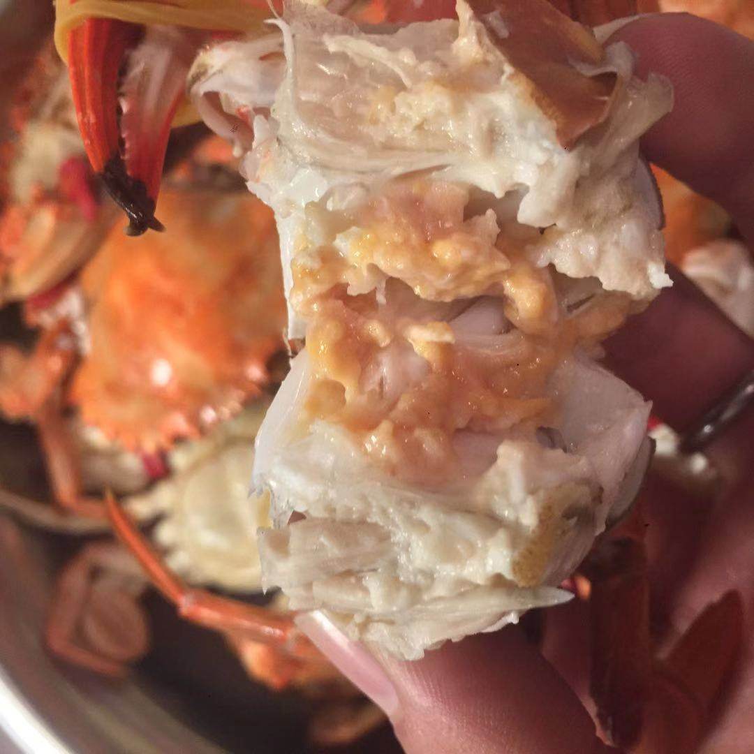 螃蟹鲜活赤甲红肥梭子蟹石甲红新鲜海鲜水产花盖蟹白飞蟹包邮