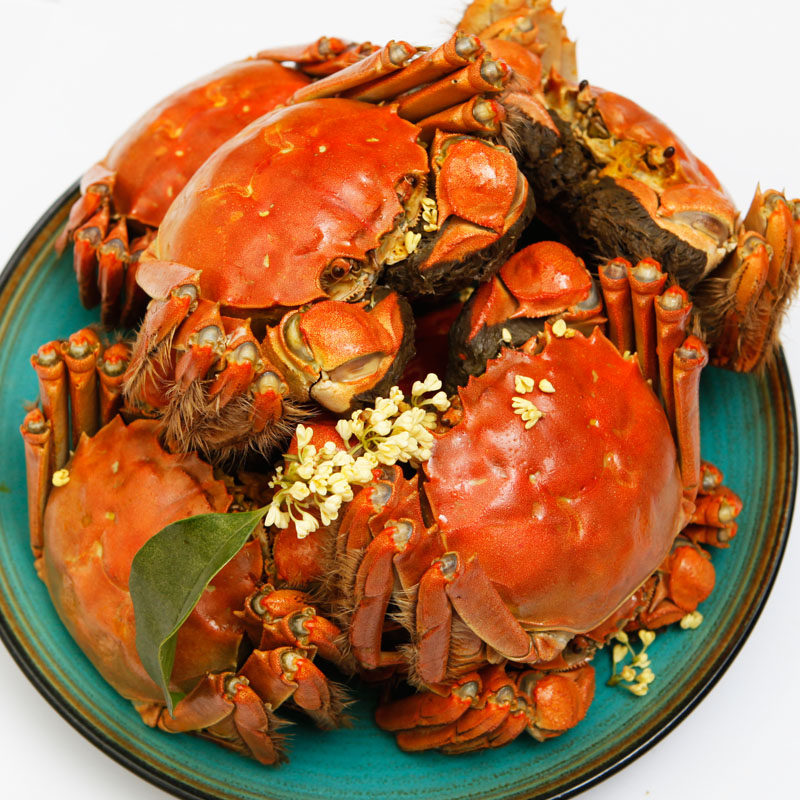 10只鲜活大闸蟹特大螃蟹4.0两全公全母现货海鲜水产清水红膏蟹