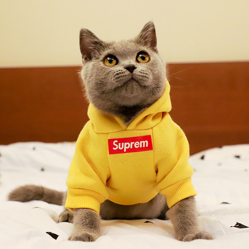 衣服宠物猫咪卫衣潮牌sup春秋薄绒泰迪女法斗狗宠物服装