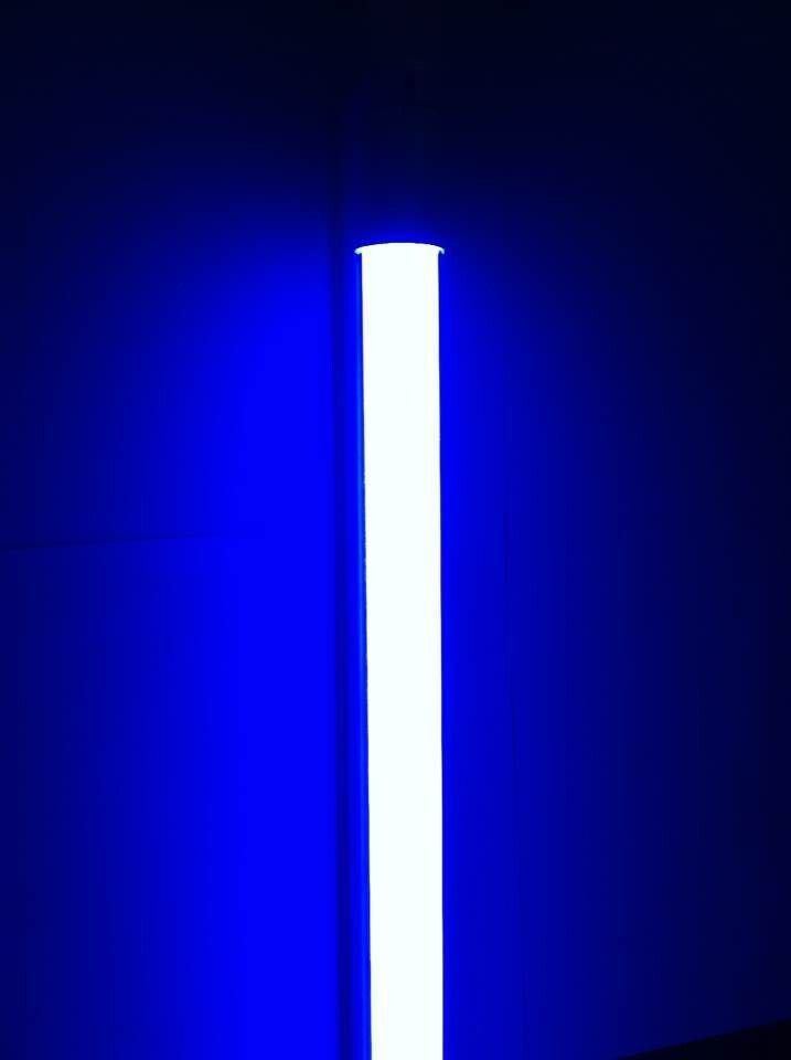 包邮彩色t5t8灯管蓝色黄绿色粉红紫色led灯管