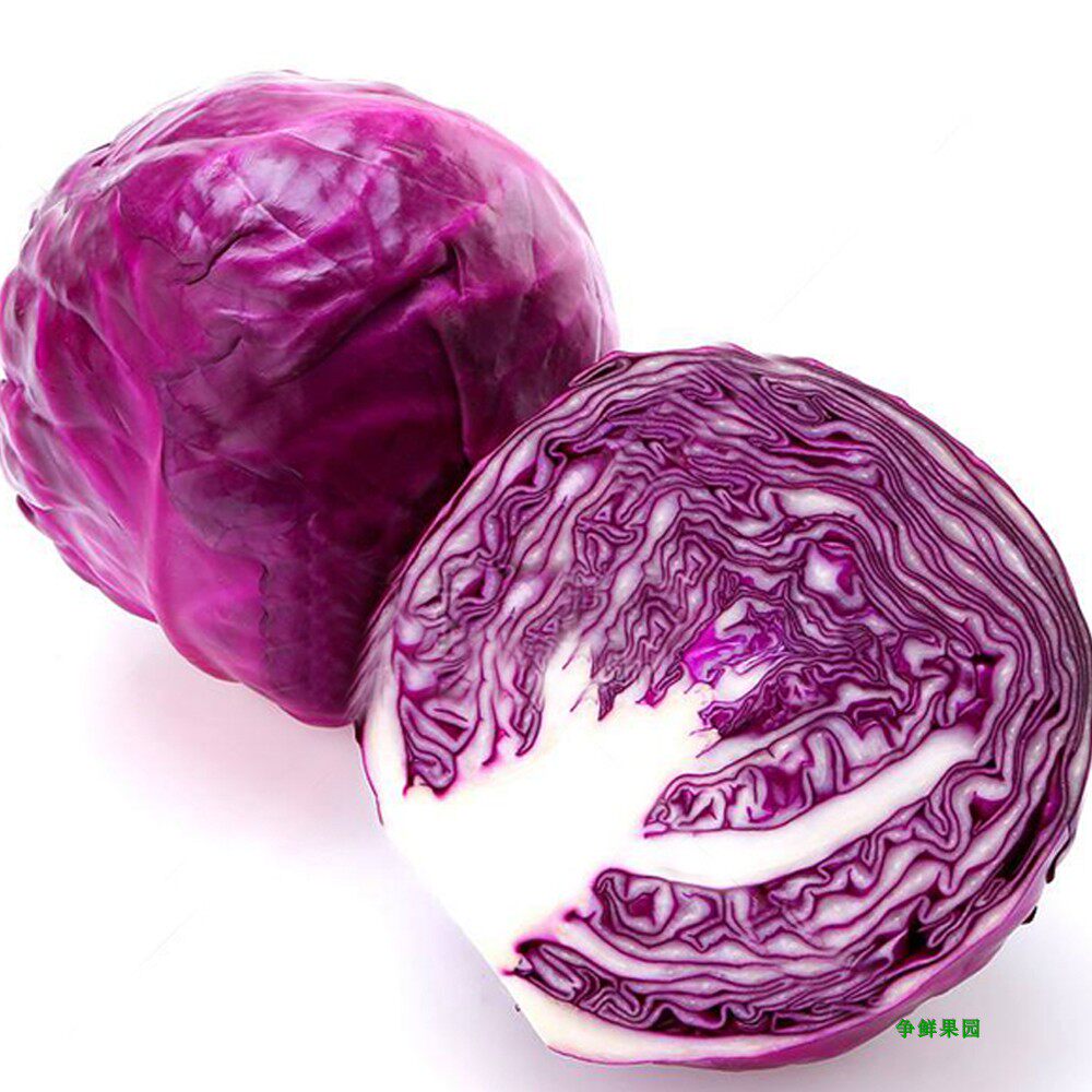 紫甘蓝新鲜蔬菜红包菜甘蓝沙拉配菜摆盘配色约1.5斤/个满额包邮