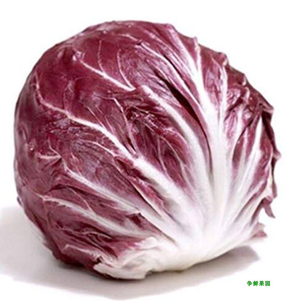 新鲜落地地球生菜紫苣红菊菊苣红包菜西餐食其它