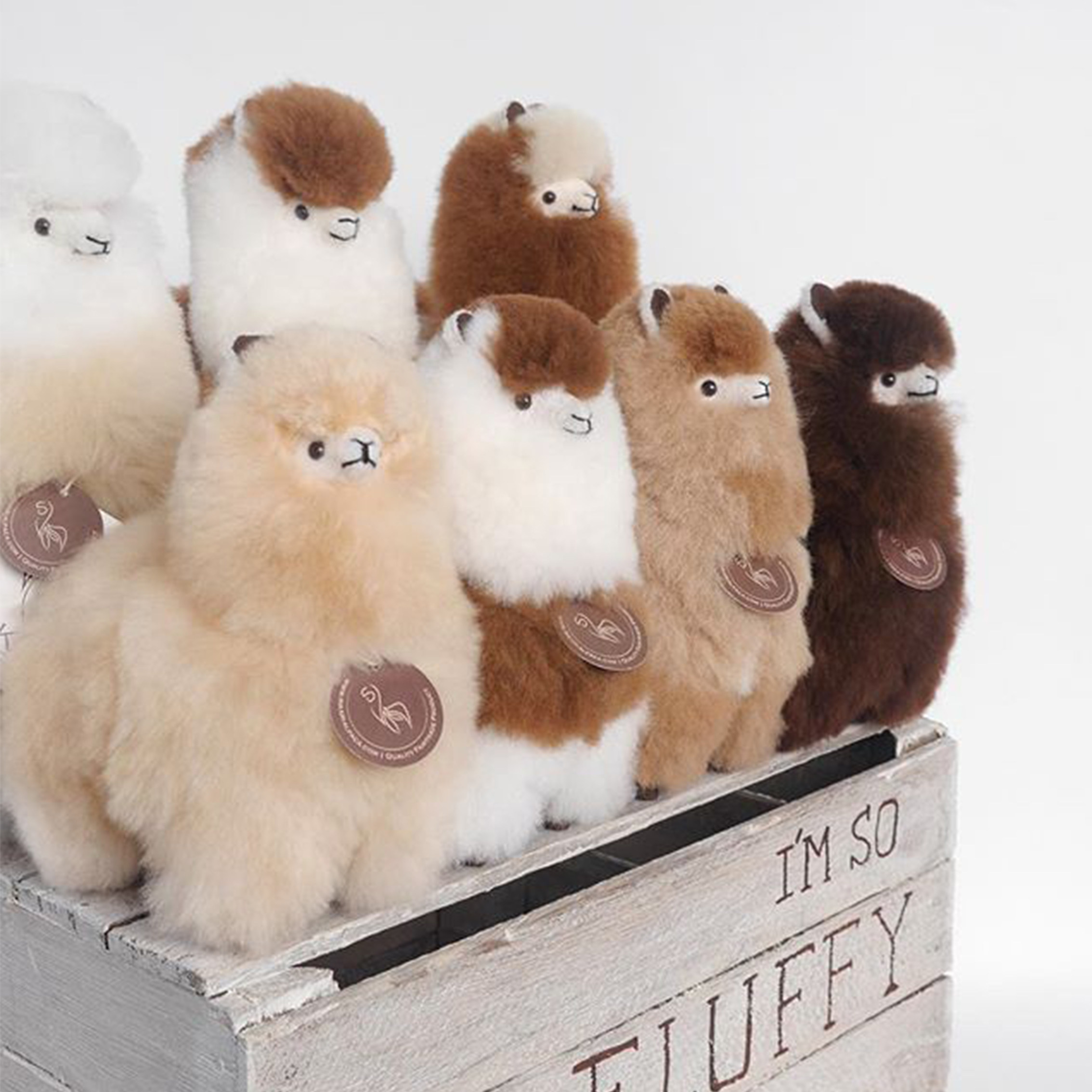 棕色alpaca秘鲁幼年驼毛手工小羊驼玩偶家居装饰摆件摆件