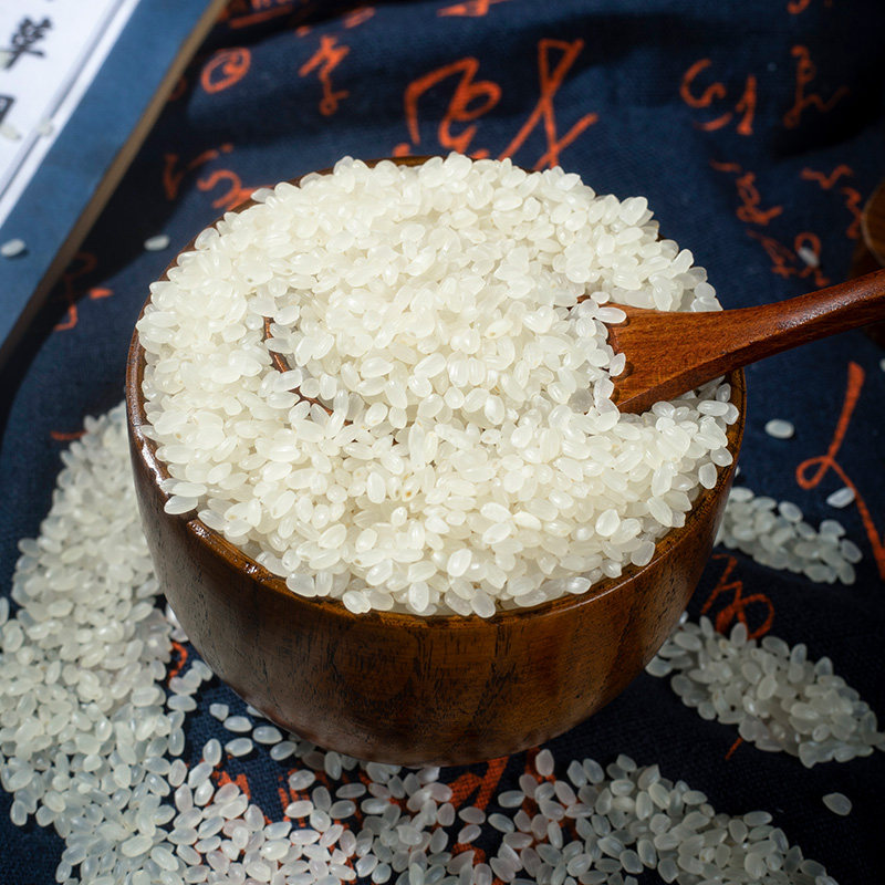 新龙江家圆全国不掺江水新米当季大米粒大农家大米