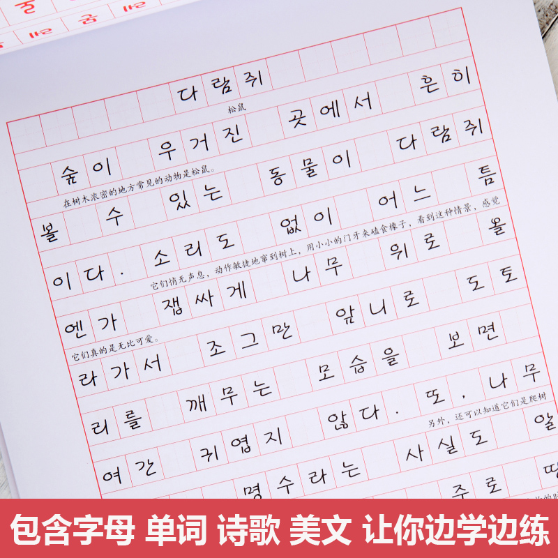 漂亮韩语手写体临摹字帖 赠活页临摹纸 发音示范视频