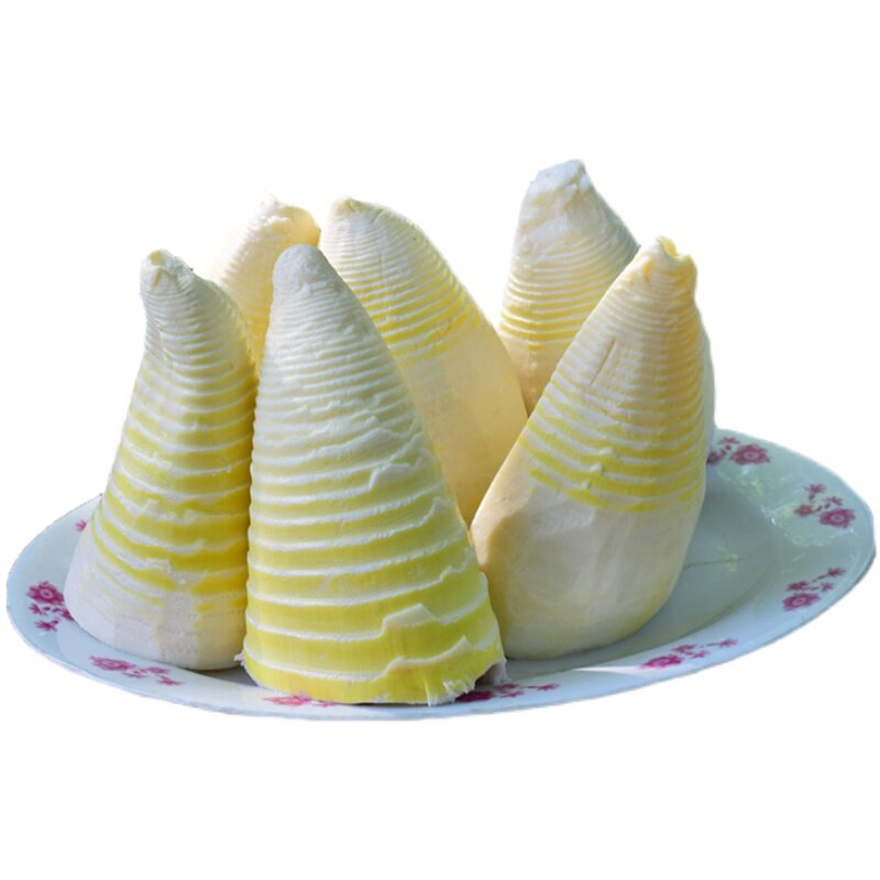 竹笋2022四川川大冬笋新鲜5斤野生新嫩水煮包装鲜笋