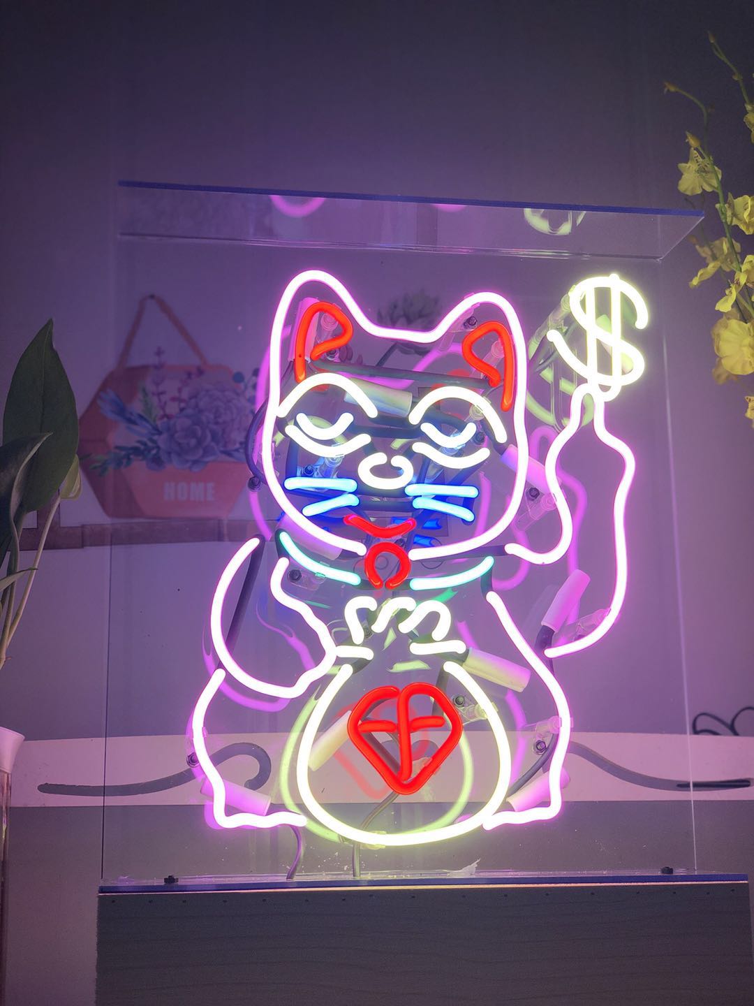 luckycat招财猫实体店图片