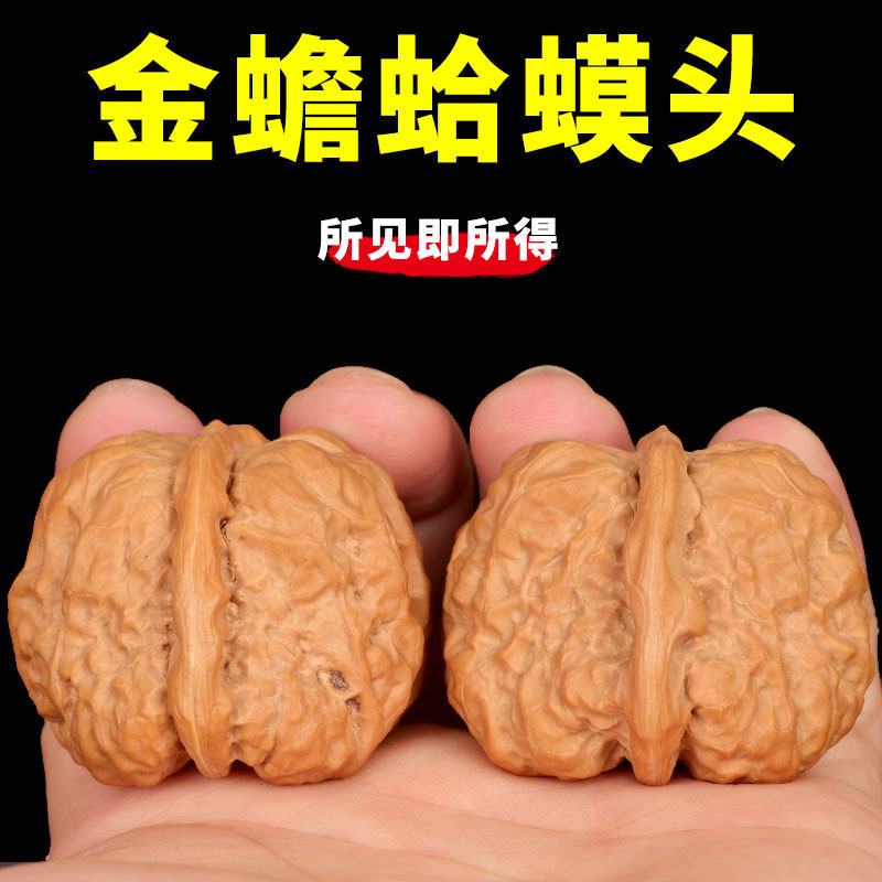 核桃文玩狮子头野生金蟾蛤蟆把玩特大手把件男手串