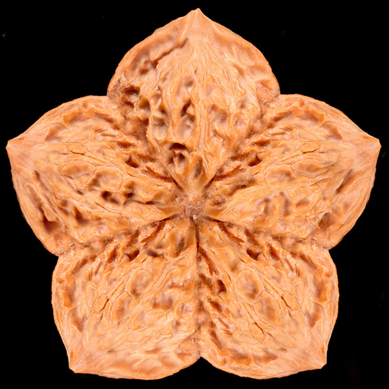 核桃文玩把玩特大拼接五棱莲花男士手把件随手串