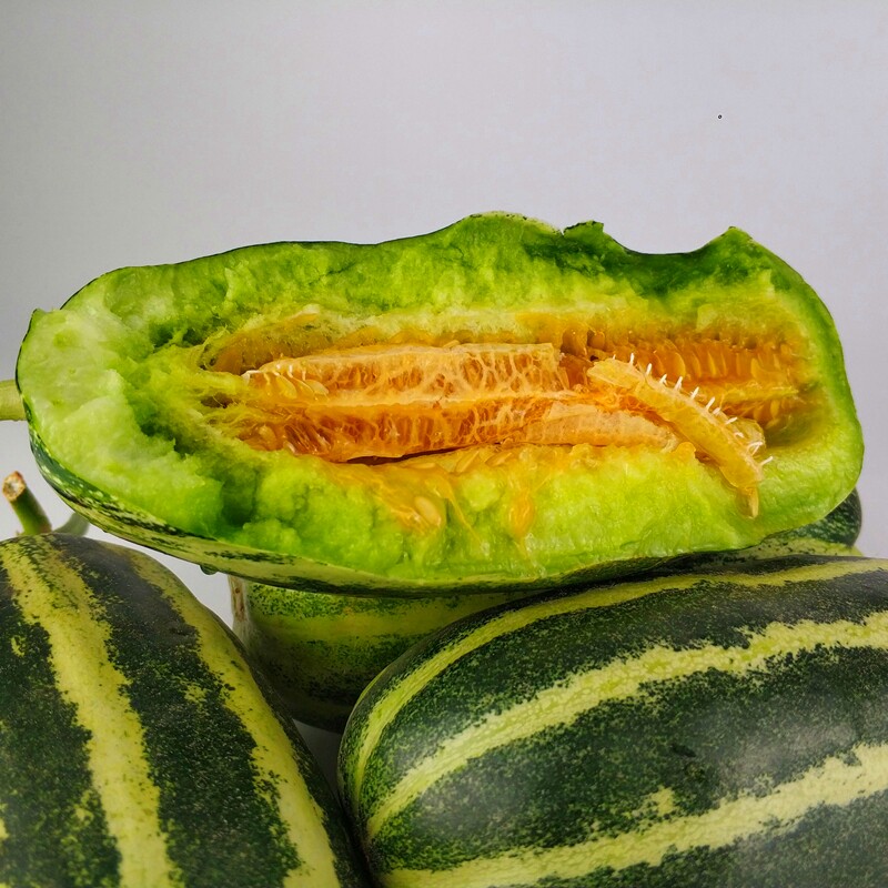 博洋甜瓜山东9号蜜瓜羊角蜜非绿宝蜜罐甜瓜