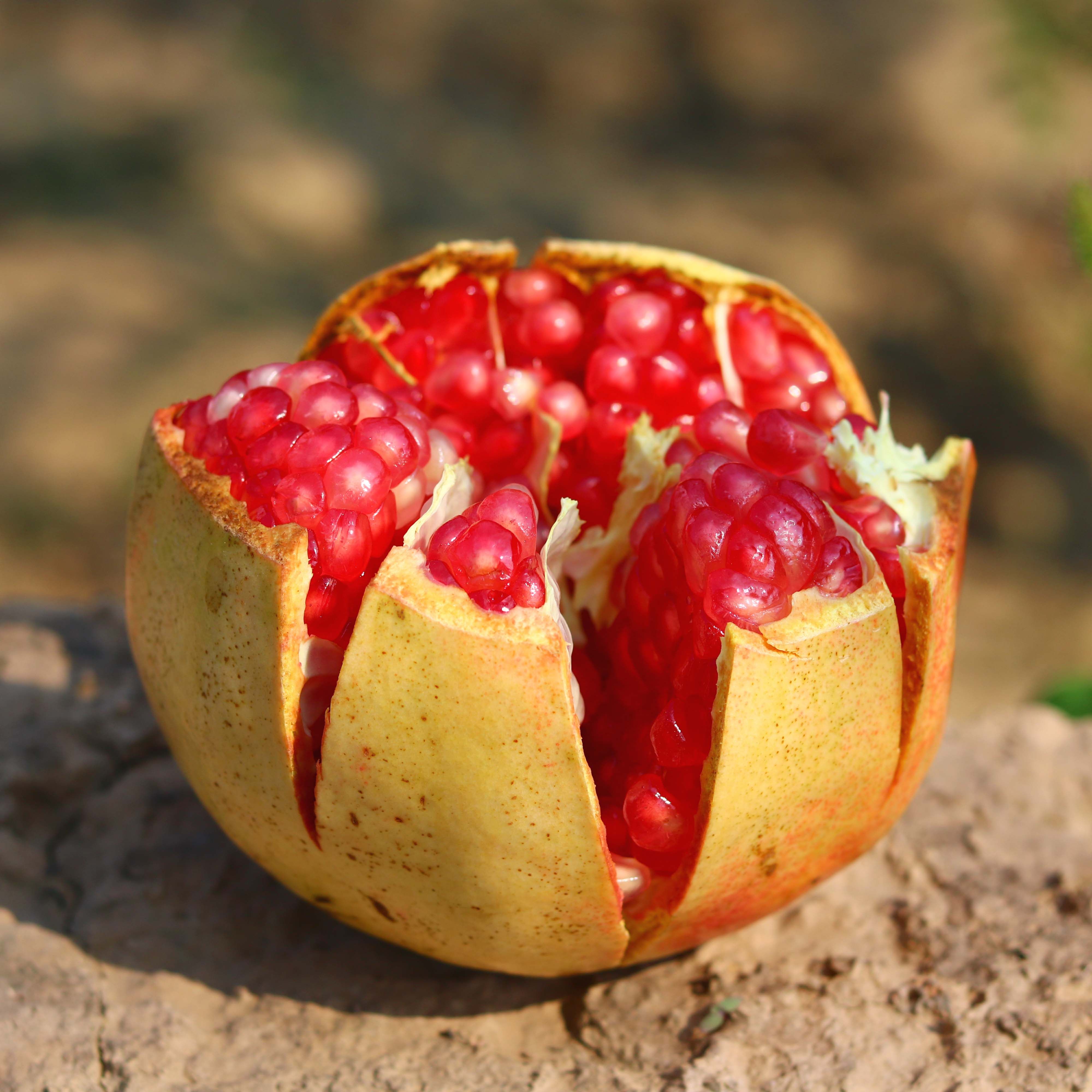 河阴突尼斯软籽石榴纯甜新鲜整箱特级大果无籽510斤时令孕妇水果