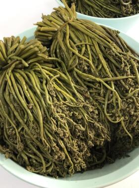 东北咸蕨菜长白山野生一份咸鲜蕨菜