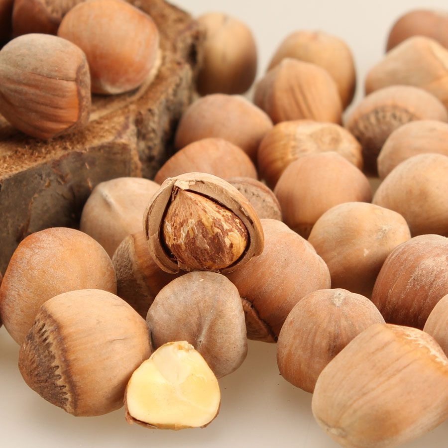 开原1000g平榛零食松鼠特产铁岭新货榛子生榛子榛子