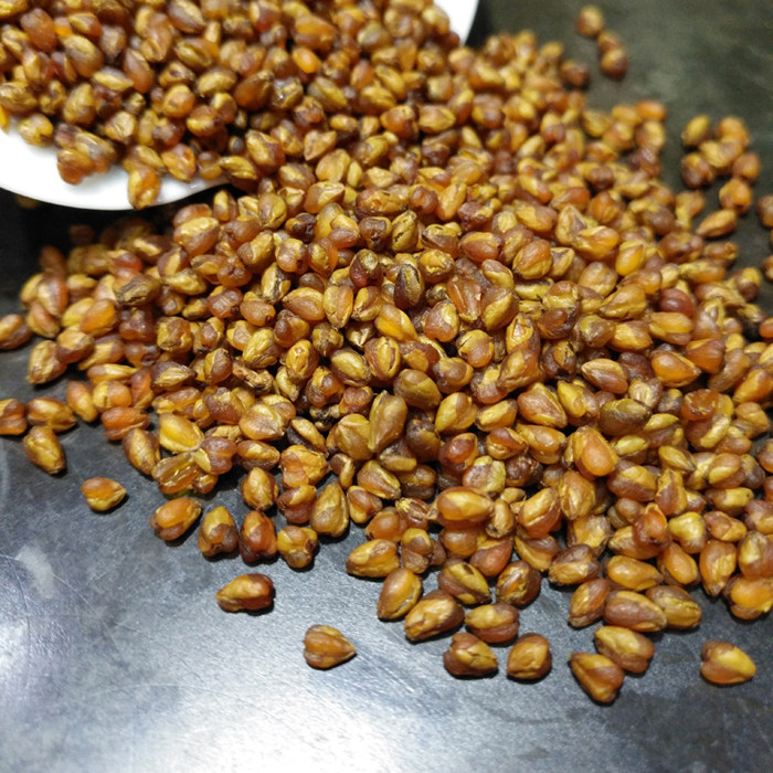 苦荞500g特产凉山茶大黑珍珠颗粒胚芽德鑫香型代用