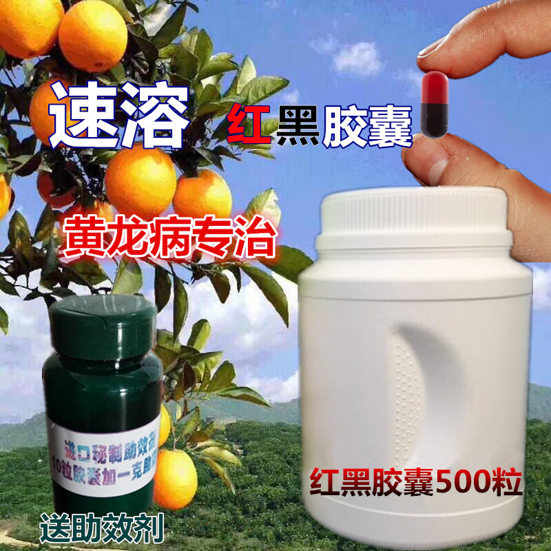 黄龙病红黑胶囊果树黄化病打针砂糖桔柑橘橙子柚子树