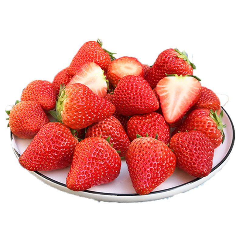 草莓正宗丹东红颜奶油九九新鲜鲜牛奶大甜水果草莓