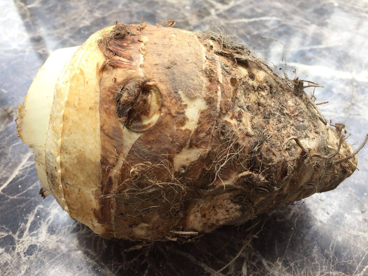 芋头福建一份五斤新鲜蔬菜浦城无污染天然自种芋头