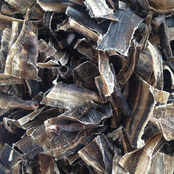 地龙500克包邮中药材蚯蚓干曲蟮沪开大其他药食同源食品