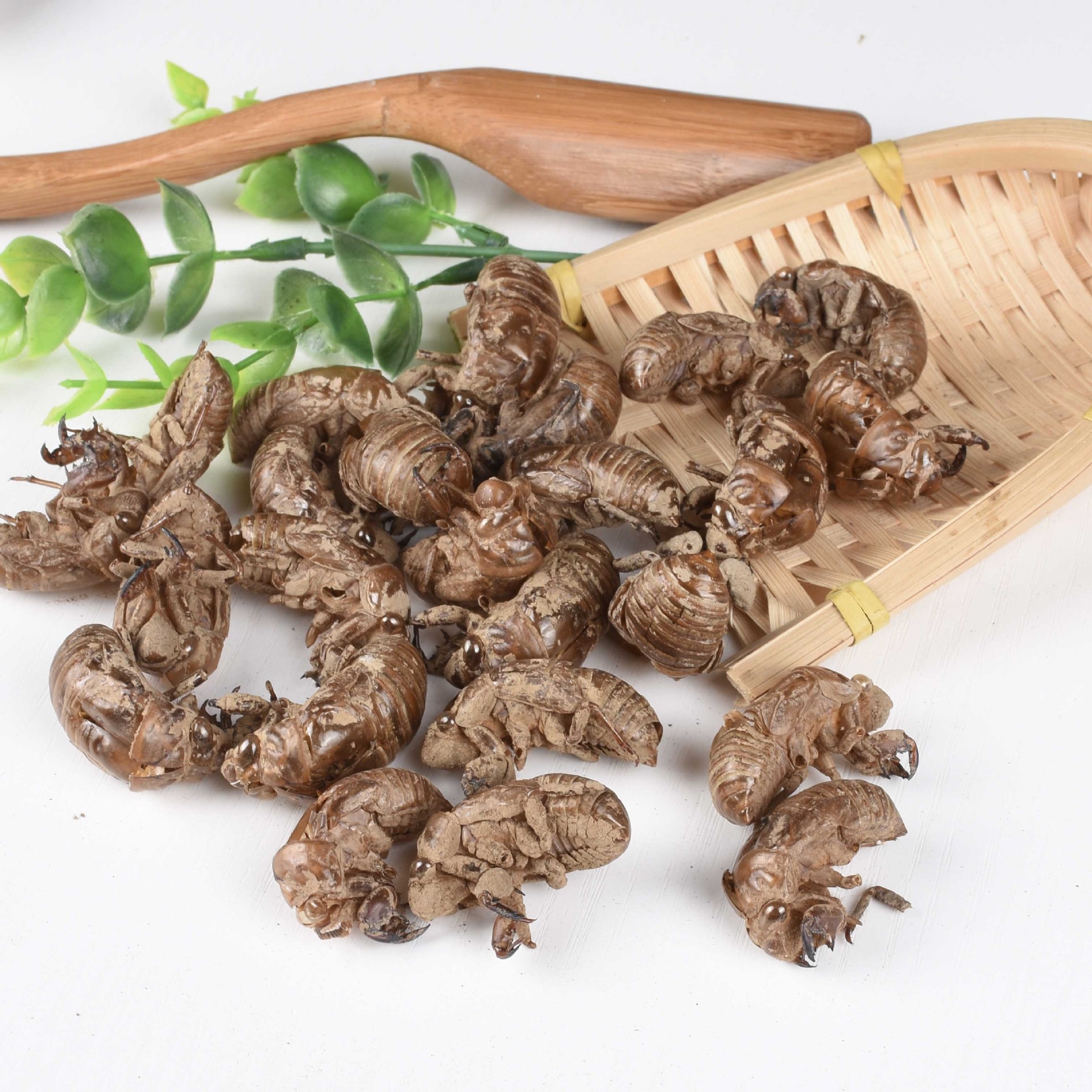 蝉蜕500克 无灌浆 正品统装 中药材店铺代抓中药 承接药房 医院