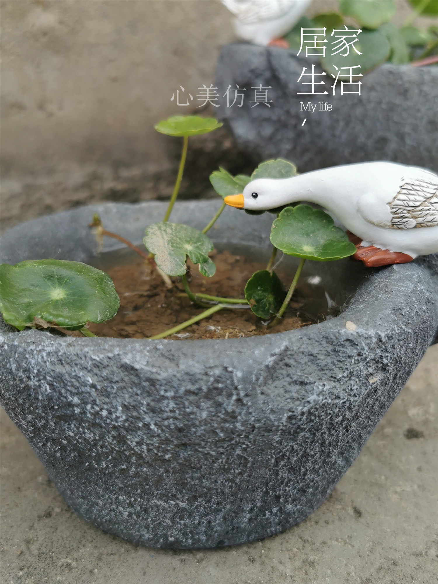 创意水培植物花盆个性多肉花器仿石石臼小鸭子花盆