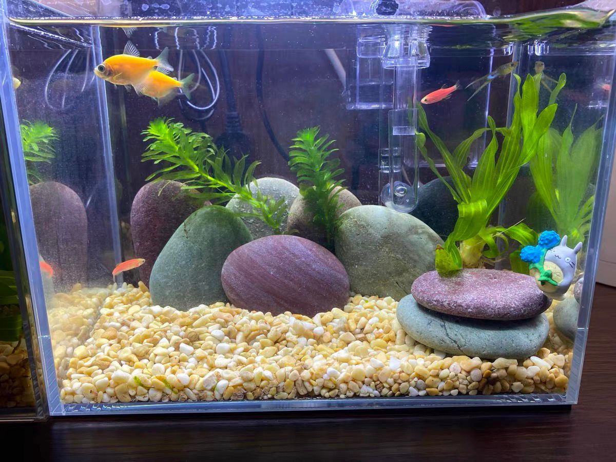 鱼缸底砂细沙石子水族箱造景垫材乌龟缸底布景造景
