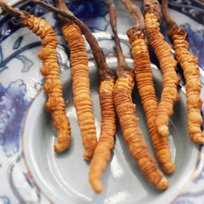 冬虫夏草6克24根礼盒包装顺丰包邮青海玉树特级冬虫夏草