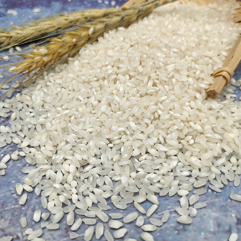 莞粮籼米河粉米越越南卷粉50公斤早米老米珍桂大米