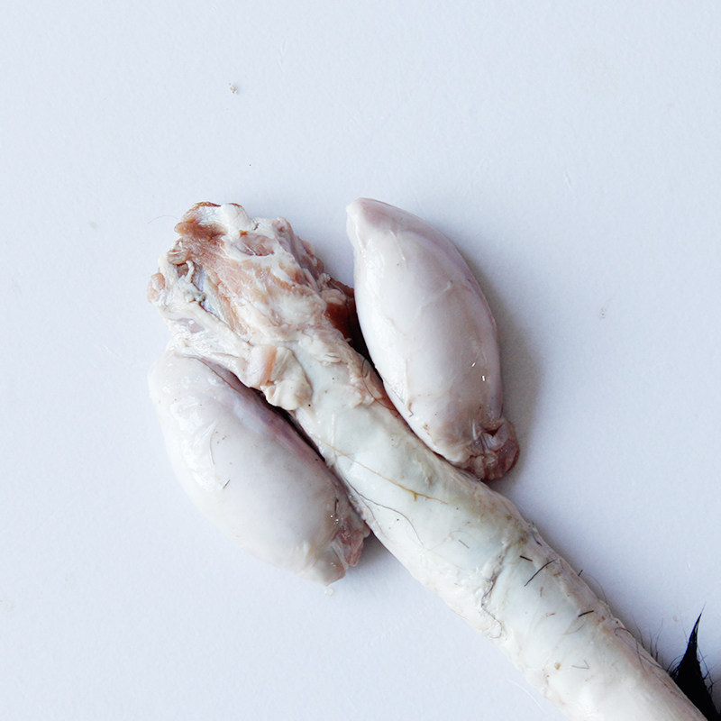 正宗鲜鹿鞭成年种鹿纯鹿鞭整枝梅花鹿鞭正品男用煲汤泡酒料梅花鹿