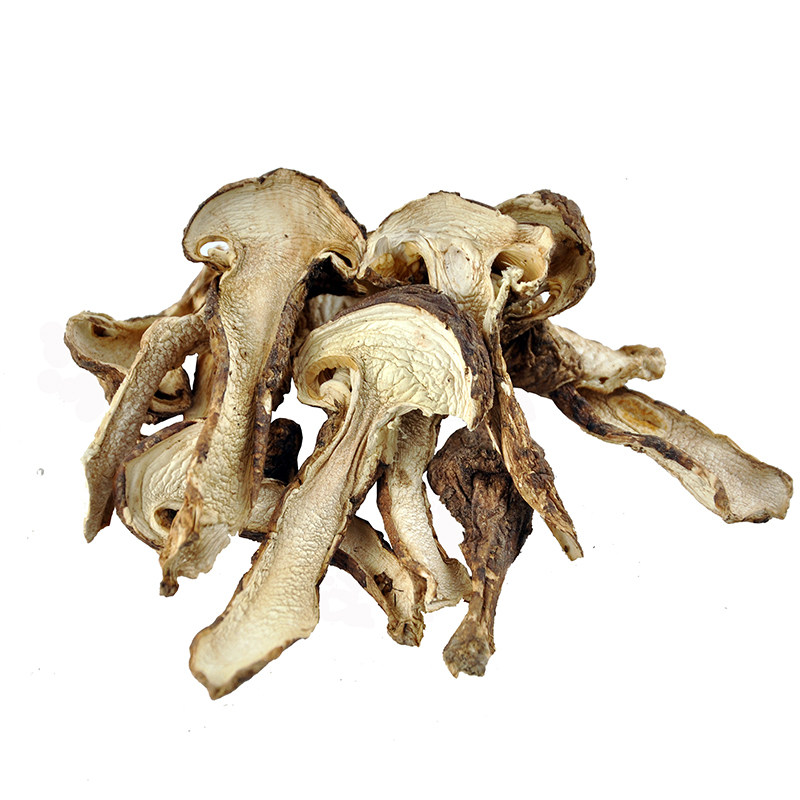 嘎朗西藏特产林芝松茸干货波密松茸干片带皮松茸菇菌新货1斤包邮