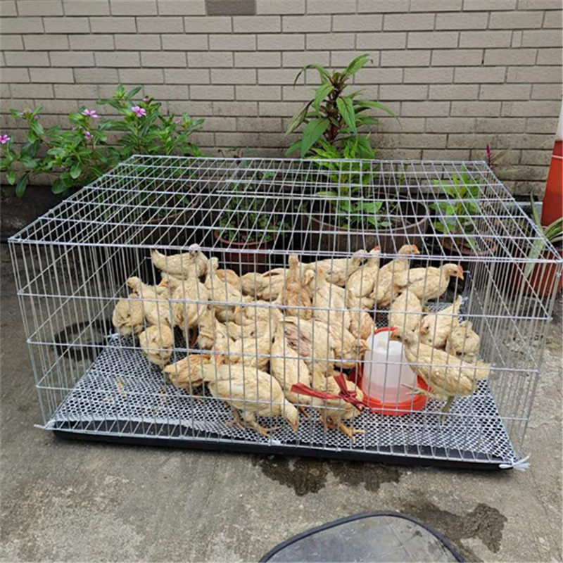 鹅笼鸽子笼家禽鸭鹅笼荷兰猪笼加高加大加粗加密运输镀锌铁丝笼