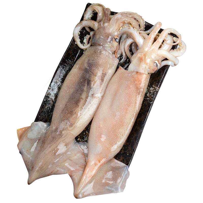 大鱿鱼鲜活整只新鲜冰鲜海鲜水产烧烤食材生鲜鱿鱼3只冷冻乌贼