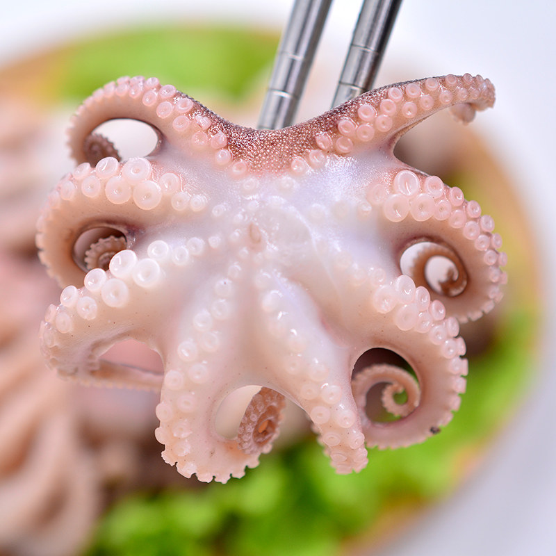 小章鱼冷冻八爪鱼迷你青岛鲜活海鲜水产烧烤火锅食材2斤顺丰包邮