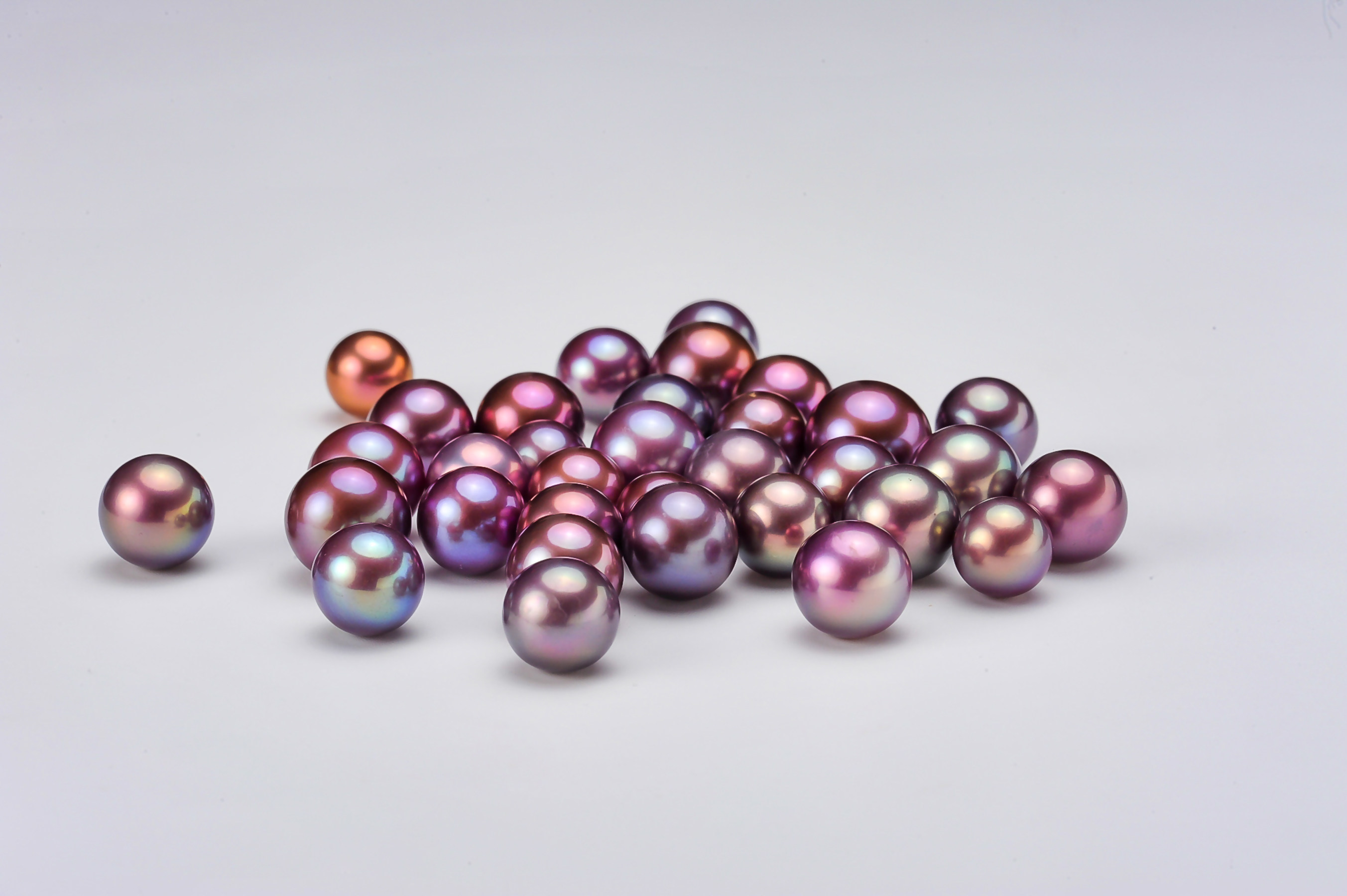 多彩珍珠蚌多拍多送